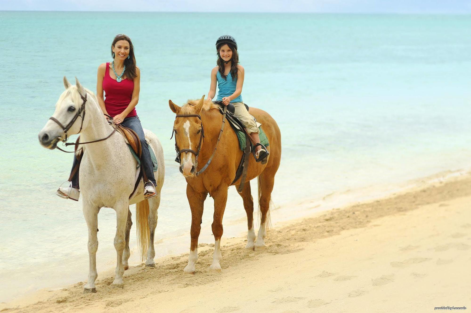 נסאו Bay View Suites Paradise Island מראה חיצוני תמונה
