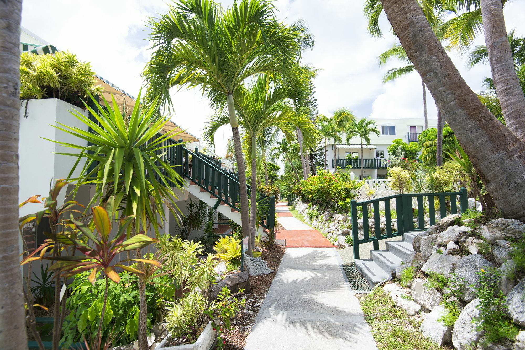 נסאו Bay View Suites Paradise Island מראה חיצוני תמונה